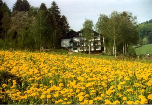 Birkenhof Hotel Wald-Michelbach Esterno foto