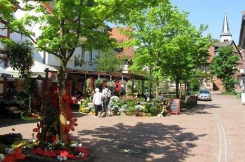 Birkenhof Hotel Wald-Michelbach Esterno foto