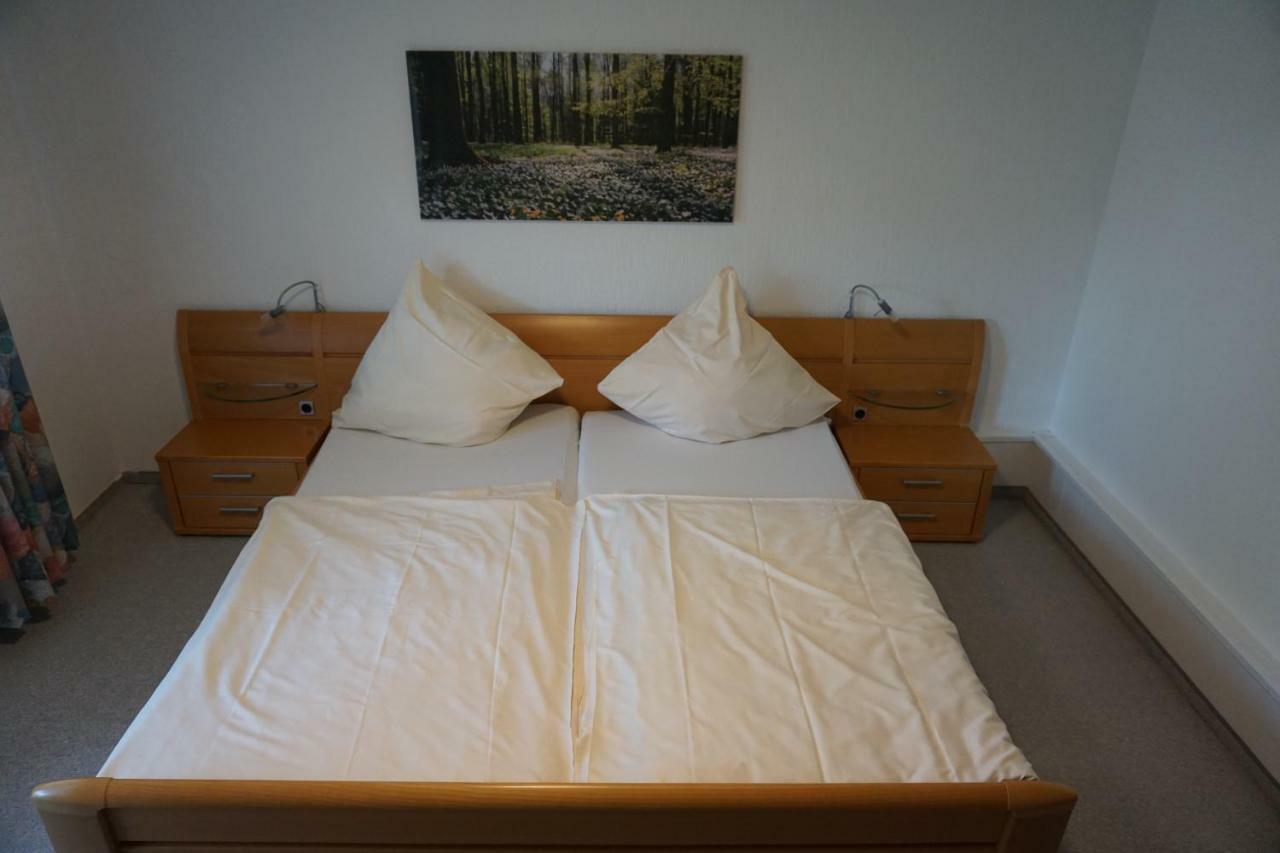 Birkenhof Hotel Wald-Michelbach Esterno foto