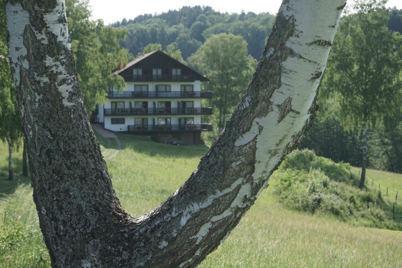 Birkenhof Hotel Wald-Michelbach Esterno foto