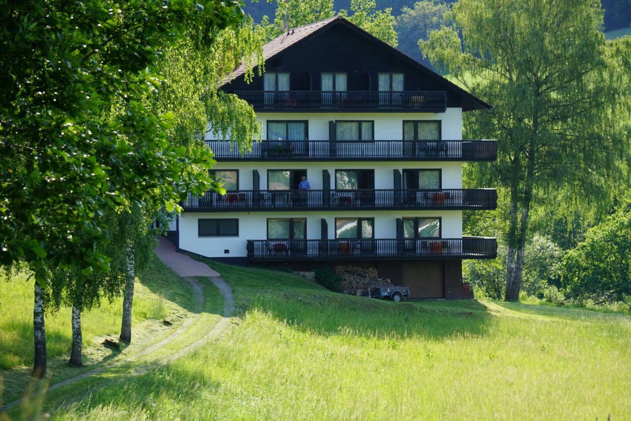 Birkenhof Hotel Wald-Michelbach Esterno foto