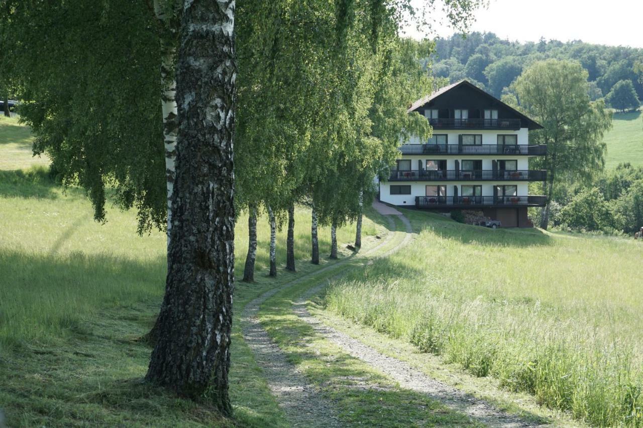 Birkenhof Hotel Wald-Michelbach Esterno foto